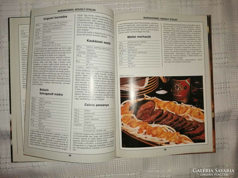 99 húsétel 33 színes ételfotóval c. szakácskönyv