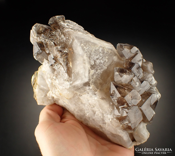 Elestial smoky quartz - 1156 grams - 2023 find