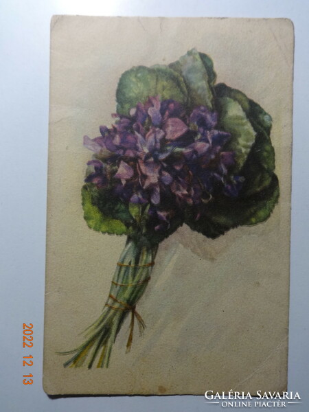 Régi virágos üdvözlő képeslap (ibolyacsokor)