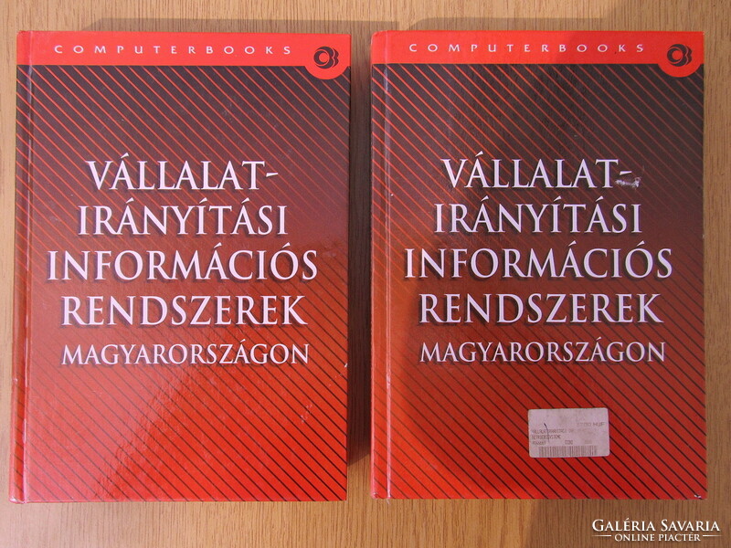 Vállalatirányítási információs rendszerek Magyarországon (vastag, nagyméretű)