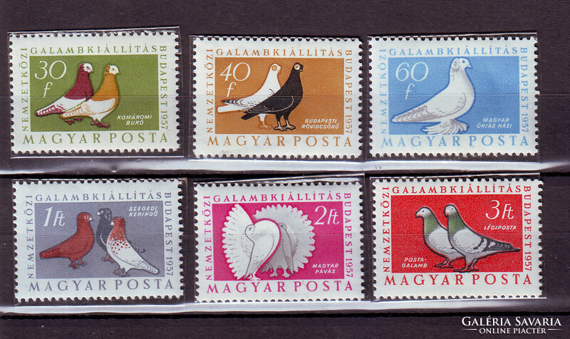 1957 Pigeon breeds ¤¤ / row in file, machine color print