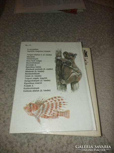 Diver's pocket book, strange animals