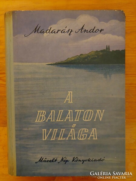 Andor Madarász: the world of Balaton book (even with free delivery)