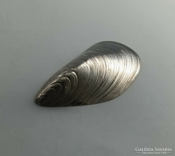 Silver shell