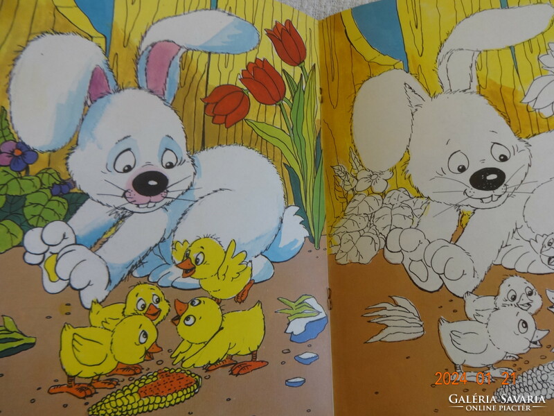 Two bunny storybooks (one can be colored) together: bunny sitting in the grass + who will be the Easter bunny?