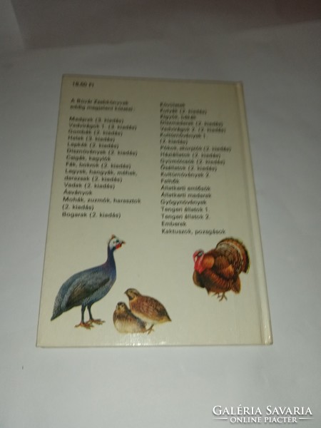 Patay-muray - pets (diving pocket books)