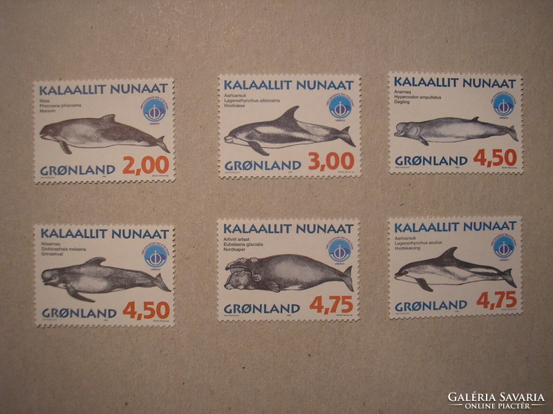 Grönland-Fauna, emlősök, bálnák 1998