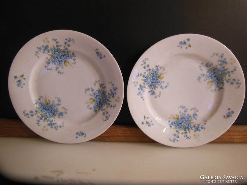 Plate - 2 pieces !! - 1909 - 22 Ig - mz altrohlau - 25 cm - porcelain - perfect