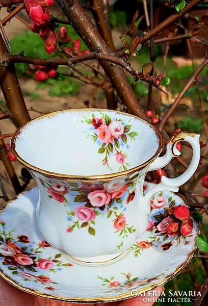 Rarity!!! Enchanting coffee royal albert cottage garden! Duo