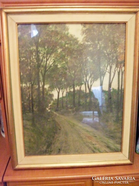 Miklós Turcsán, twilight picture gallery painting, frame price!
