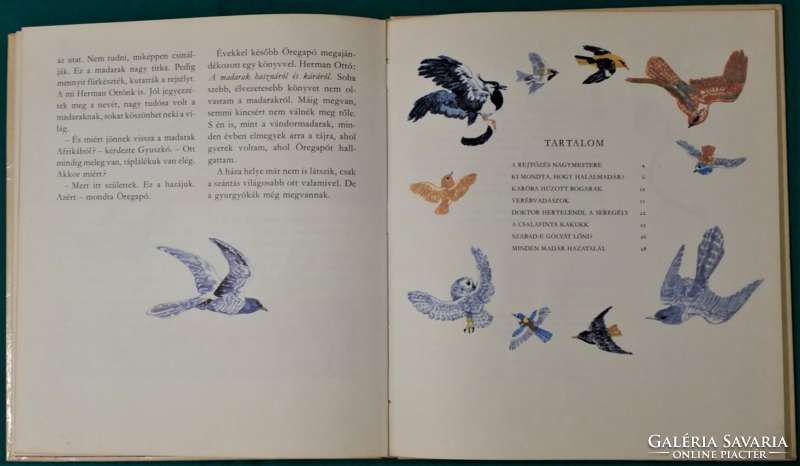 Ervin Lázár: old grandfather's birds - wise owl series > children's and youth literature