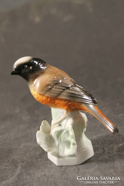 German porcelain bird 347