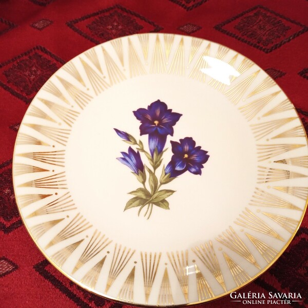 Seltmann Bavaria porcelán tányér