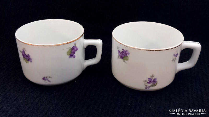 Vintage Czechoslovakian violet cup 2 pcs