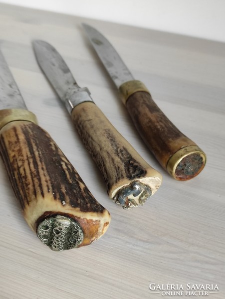Csont nyelű vadász kések, régi tisztításra élezésre váró darabok