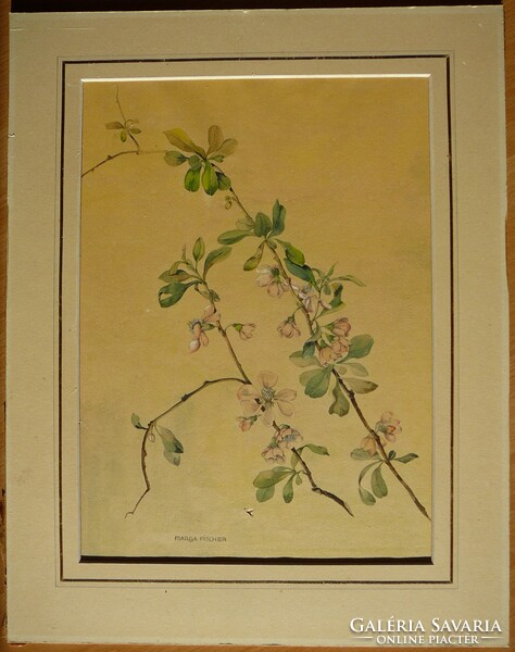 Igényes botanikai akvarell, 20'-as évek. Festmény, kép. Marga Fischer