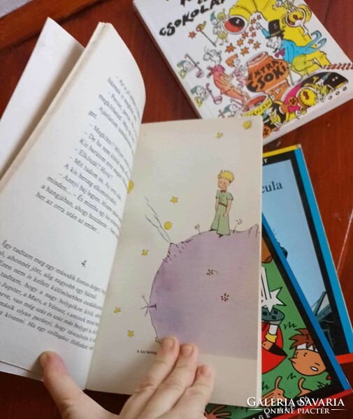 Youth novels - letter-eating series - Roald Dahl Karcsi and the chocolate factory - the little prince