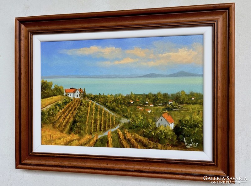 Sale György György lutes Balaton vineyard 20x30
