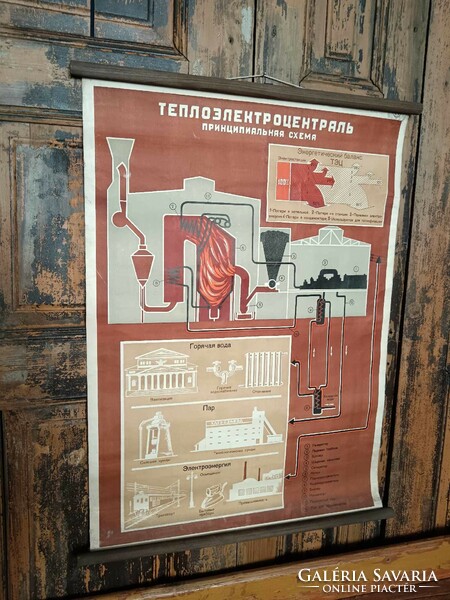 Iskolai szemléltető tabló, 20. század közepei, vászonra kasírozott papír, orosz nyelvű, iskolai 3.