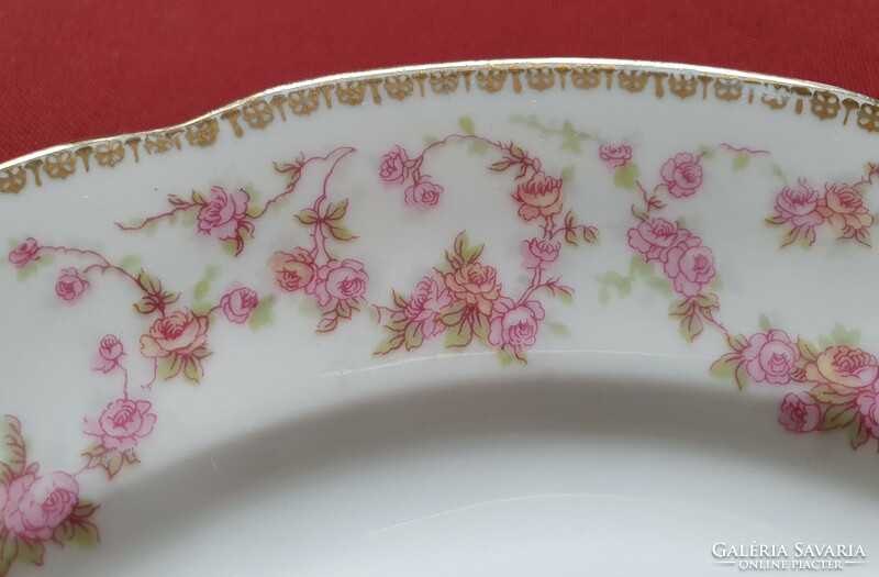 Schumann bavarian German porcelain serving plate serving plate bowl with flower pattern
