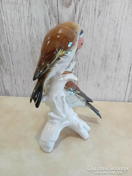 Carl ENS német porcelán extrém ritka madár pár figura