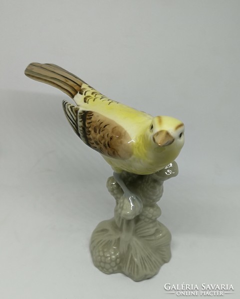 Royal dux porcelain bird!