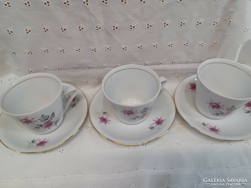 Alföldi clove tea cups with bottoms 6 pcs