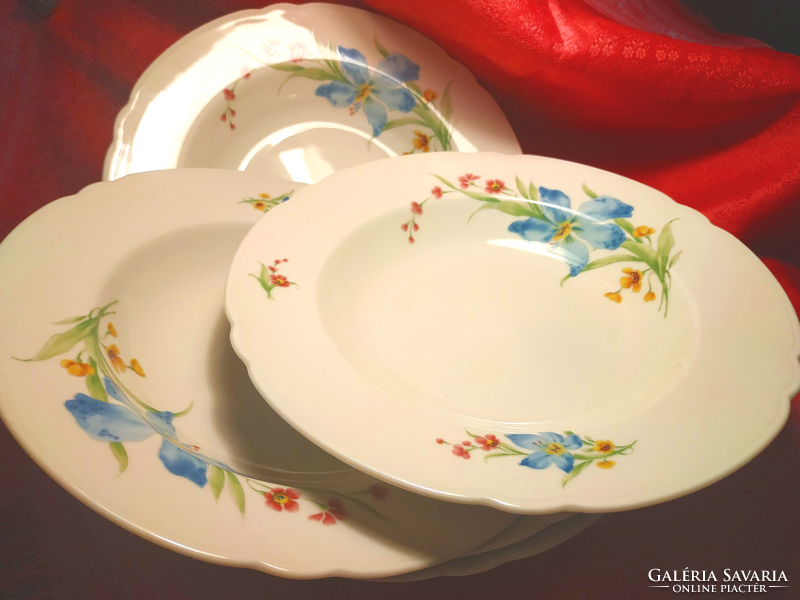 Seltmann weiden 12 porcelain deep plates