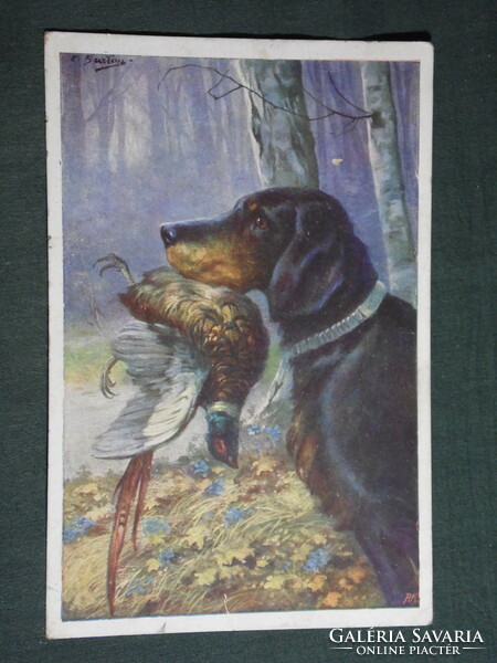 Képeslap, Postcard, artist,Jagdhund,hunting dog, Jäger, vadászat ,vadászkutya, 1922