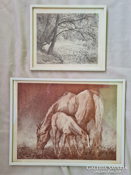 2 juniors for sale. Etching by István Imre. Delivery by agreement.