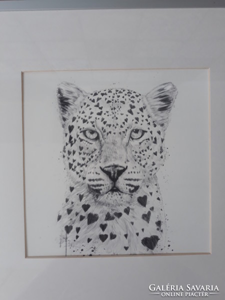 Solti Balázs - Lovely leopard (tusrajz, nyomat) keretben