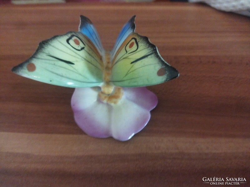 Kispest porcelain butterfly.