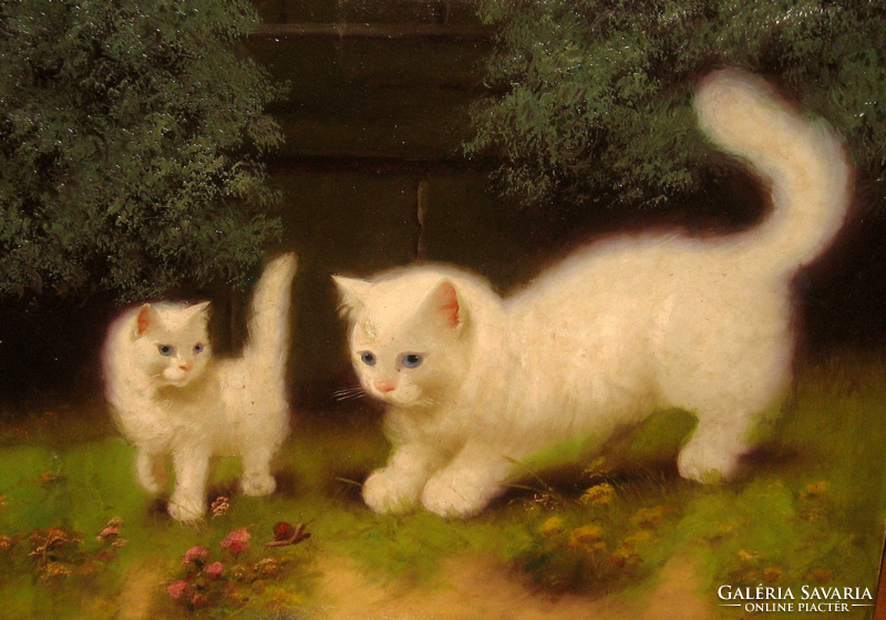Large guaranteed original Boleradszky cat / 1885 -/ : kittens