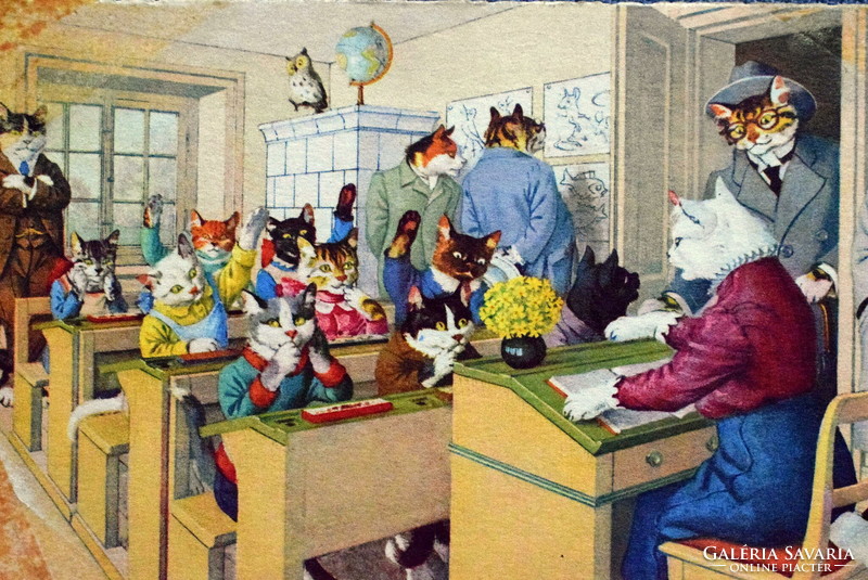 Régi retro humoros grafikus képeslap cica iskola