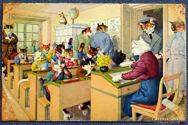 Old retro humorous graphic postcard cat school