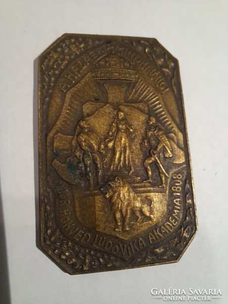 To the death for the country! Ludovika bronze plaque