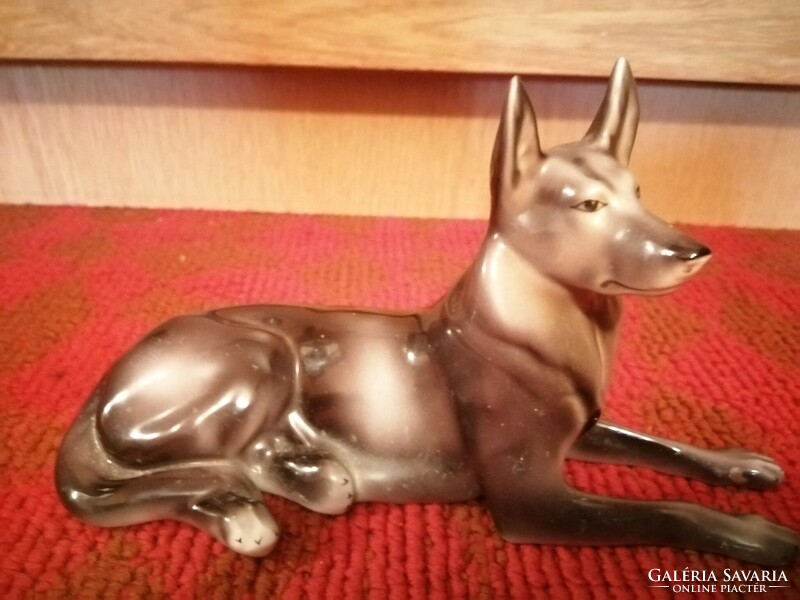 Hollóháza porcelain German shepherd dog, in good condition HUF 4,000