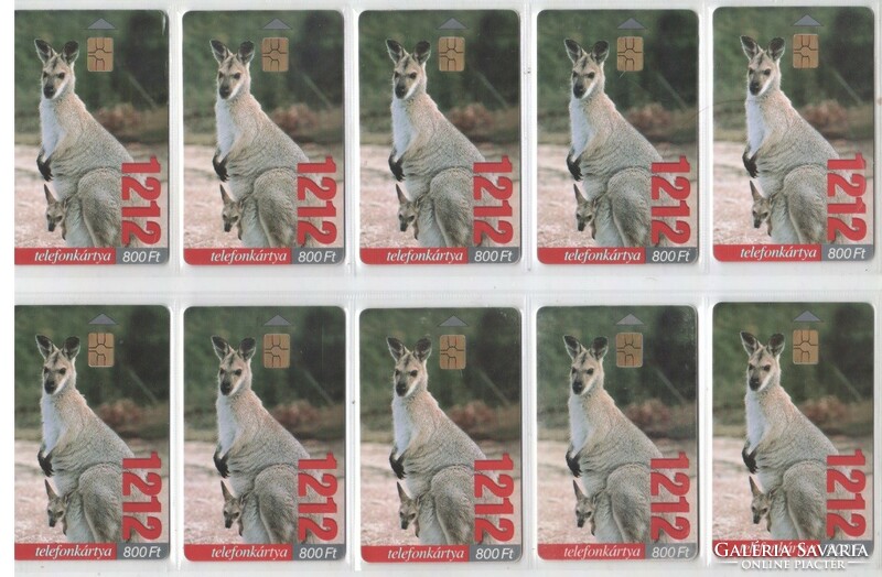 Hungarian phone card 1079 1212-kangaroo 200,000 Pcs.