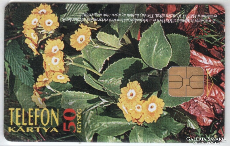Hungarian telephone card 0451 1996 cipher primrose ods 500,000 Pieces