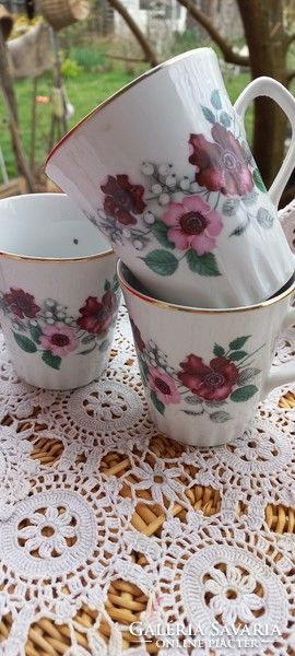 3 old Czechoslovakian flower mugs