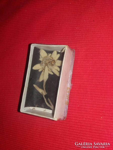 Antik lengyel kirándulási emlék - Zakopane - szárított havasi gyopár dobozában a képek szerint