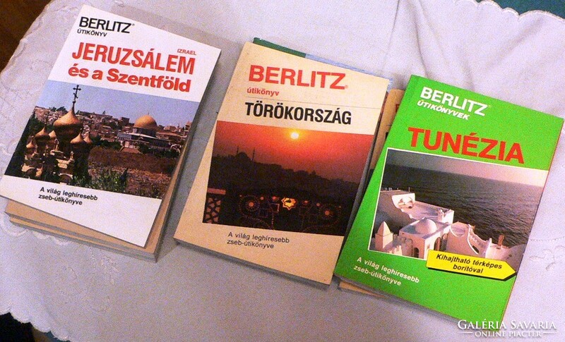 Berlitz travel books book package