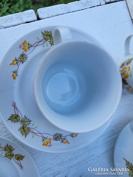 Alföldi porcelain_coffee set with rare decor