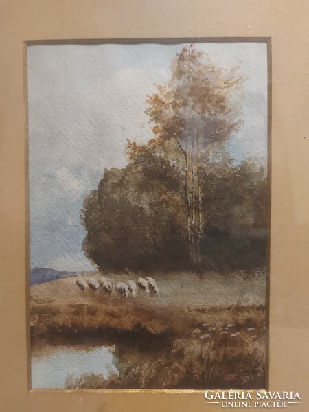 Lamb watercolor painting, from 1910, signed