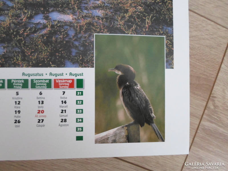 Poster calendar sheet 4.: Kelemen-szék, cormorant; August (photo poster; salty, checkerboard)