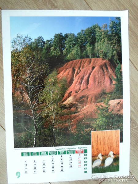 Poster calendar page 5: Darvas-tó bauxite lens, spoonbill; September (photo poster)