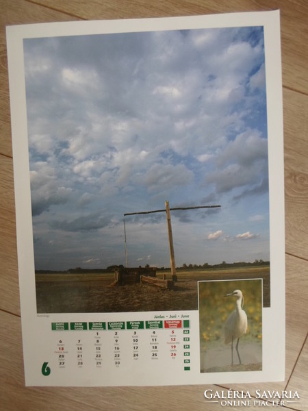 Poster calendar page 3: Hortobágy, little egret; June (photo poster)