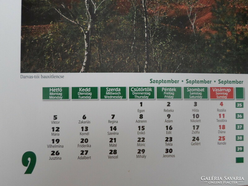 Poszter naptárlap 5.: Darvas-tói bauxitlencse, kanalasgém; szeptember (fotóposzter)