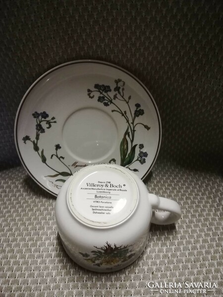 Villeroy&Boch kávés csésze szett"Botanica"