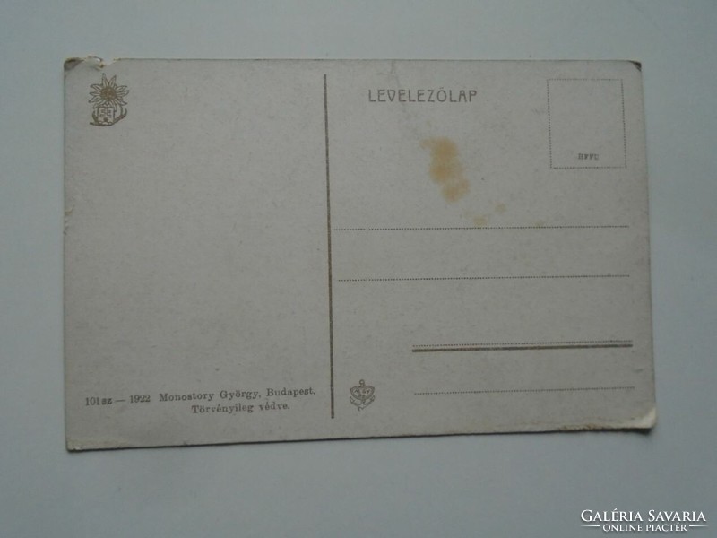 D201896 old postcard - Balatonfüred Erzsébet Udvar and Tibor Spa - 1920k